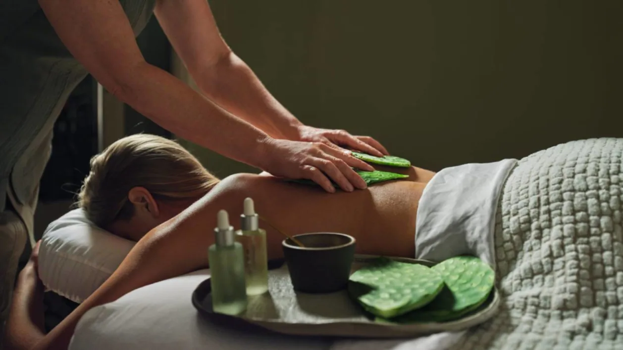 Four Seasons Resort Scottsdale Troon North nopal cactus massage